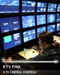 RTV Pink